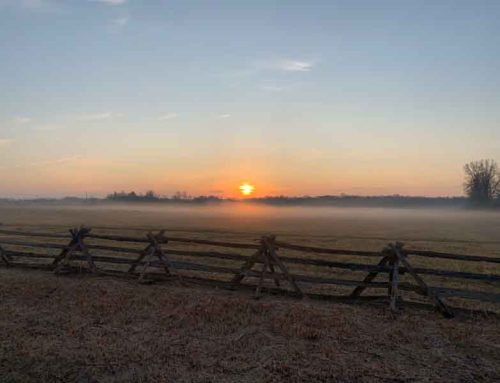 Following Basic Principles to Address the Dilemma of Moral Injury