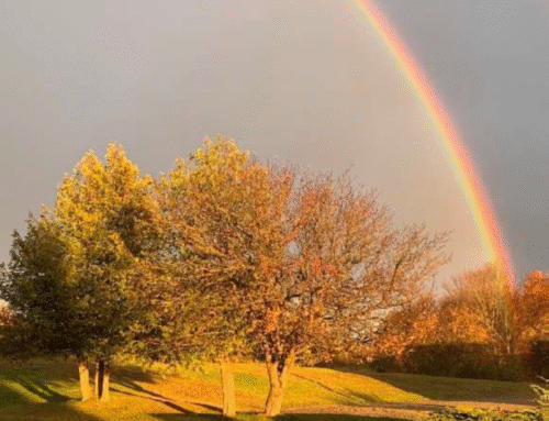 Recharge and Re-Engage