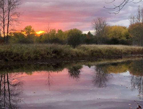 Ketamine: The Psychedelic Journey